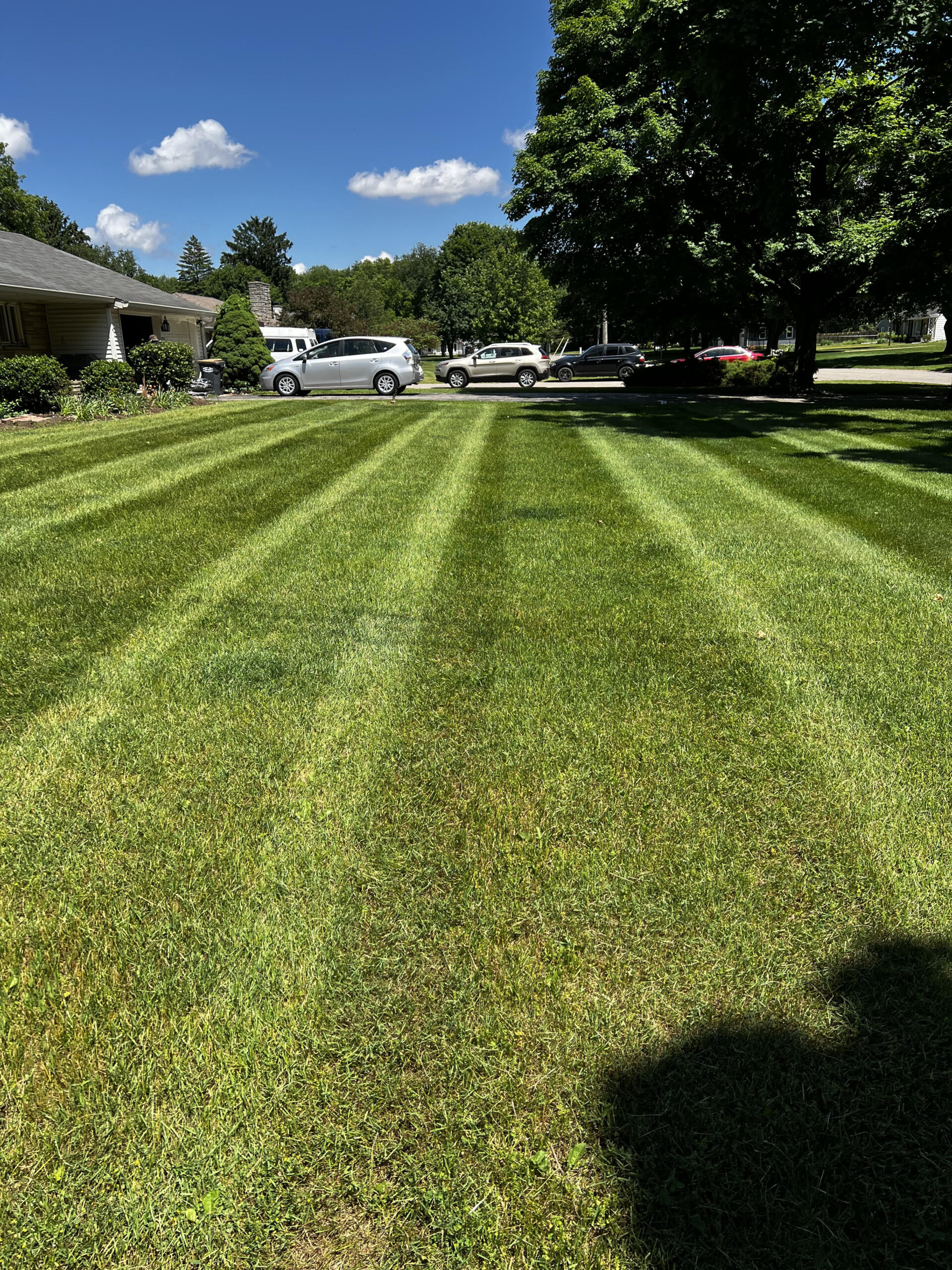 Professional lawn mowing services in Kalamazoo, MI